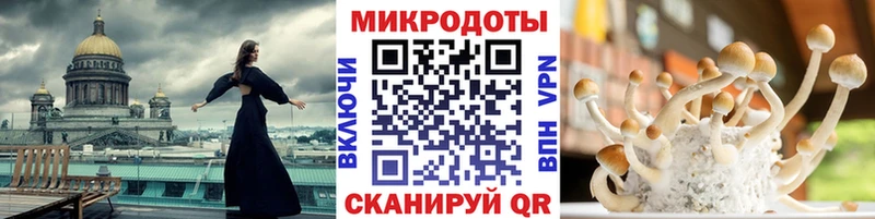 Псилоцибиновые грибы Psilocybe  закладка  кракен   Чекалин 
